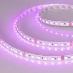 Лента RT-B84-10mm 24V RGB (21 W/m, IP20, 5060, 5m) (, Открытый)