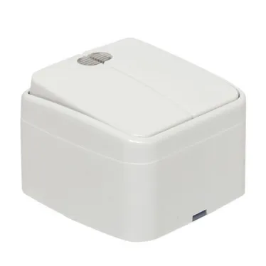 Выключатель Минск двухклавишный ОП 10А с индикатором белый