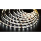 Лента светодиодная LEDx60/м 50м 4.8w/m 12в дневной