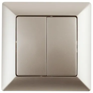 Выключатель Intro Solo 4-104-04 двухклавишный 10А-250В, IP20, СУ, шампань