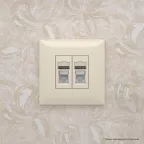 Avanti Розетка RJ-45 в стену, 5e двойная экранированная, ''Ванильная дымка''
