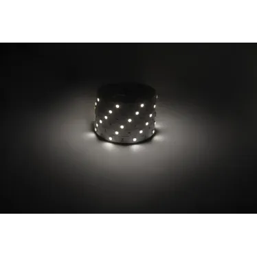 Светодиодная лента LS5050-7,2-30-12-4000K-IP20-1 year-5m дневной белый 5м