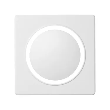 Накладка на 75305-, 75306-, 75315-, 75322-39 (69), S82,82N, белый