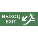 Этикетка самоклеящаяся 350х130мм ''Выход/лестница вниз/фигура'' IEK