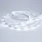 Лента LED RT 2-5000 24V Cool 8K 0.5x (3528, 150 LED, LUX) (ARL, 2.9 Вт/м, IP20)