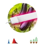 Линейный светильник красно-синего спектра FITO-36W-RB-N (10/240)