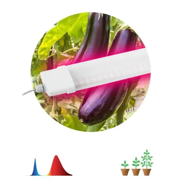 Линейный светильник красно-синего спектра FITO-36W-RB-N (10/240)