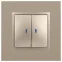 Выключатель двойной с подсветкой, 10АХ-250В, Эра Elegance, шампань,14-1105-04