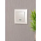 Валенсия лицевая панель выключателя 1-кл. с индикатором 10А жемчуг