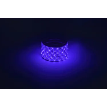 Светодиодная лента LS2835-4,8-60-12-B-IP65-1 year-5m, синий, 5м