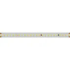 Лента IC-A144-12mm 48V Warm3000 (5.8 W/m, IP20, 2835, 50m) (, Открытый)