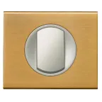 Рамка, однопостовая, золото