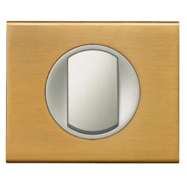 Рамка, однопостовая, золото