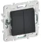 SKANDY Выключатель 2-клавишный проходной 10А SK-V05G графит IEK
