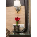 GLOSSA Розетка телефонная RJ11 в рамку белая