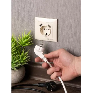 Валенсия розетка 1-местная с/з 16А кремовая с защ. штор. с 2 USB 2,1А