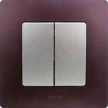 ETIKA Выключатель двухклавишный автоматические клеммы 10 AX 250 В алюминий