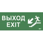                  Этикетка самокл. 330х140мм Выход/лест. вниз/фигура IEK
               