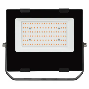 Прожектор красно-синего спектра FITO-50W-RB-LED