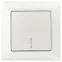 Выключатель Intro Solo 4-102-06