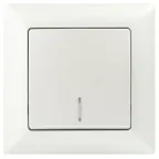 Выключатель Intro Solo 4-102-06