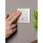 Валенсия лицевая панель выключателя 2-кл. с индикатором 10А жемчуг