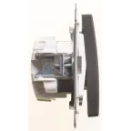 Выключатель одноклавишный, двухполюсный, 10АХ, механизм, черный бархат