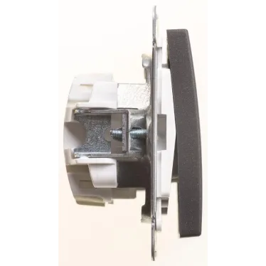 Выключатель одноклавишный, двухполюсный, 10АХ, механизм, черный бархат