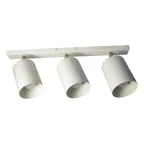 Светильник Спот НПБ 01-3х60-513 бел.матовый/белый ИУ