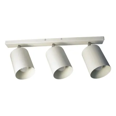 Светильник Спот НПБ 01-3х60-513 бел.матовый/белый ИУ