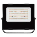 Прожектор красно-синего спектра FITO-50W-RB-LED