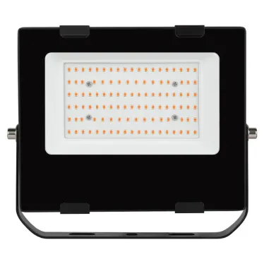 Прожектор красно-синего спектра FITO-50W-RB-LED