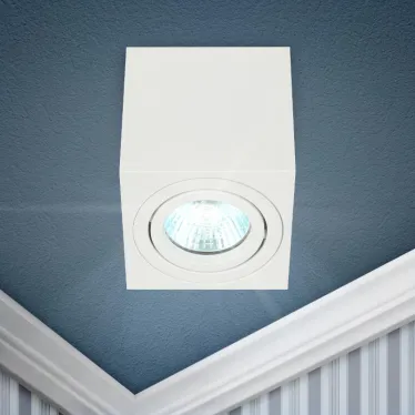 Светильник настенно-потолочный спот OL22 WH MR16/GU10, белый, поворотныйлампа MR16 ( в комплект не входит)