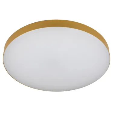 Светильник потолочный светодиодный Relict 38 SPB-6-40 4К MG 40W 4000K Золото