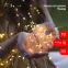 Светодиодная новогодняя гирлянда ЕNIG - 100M нить Мишура 3 м теплый белый 150 microLED 220 V
